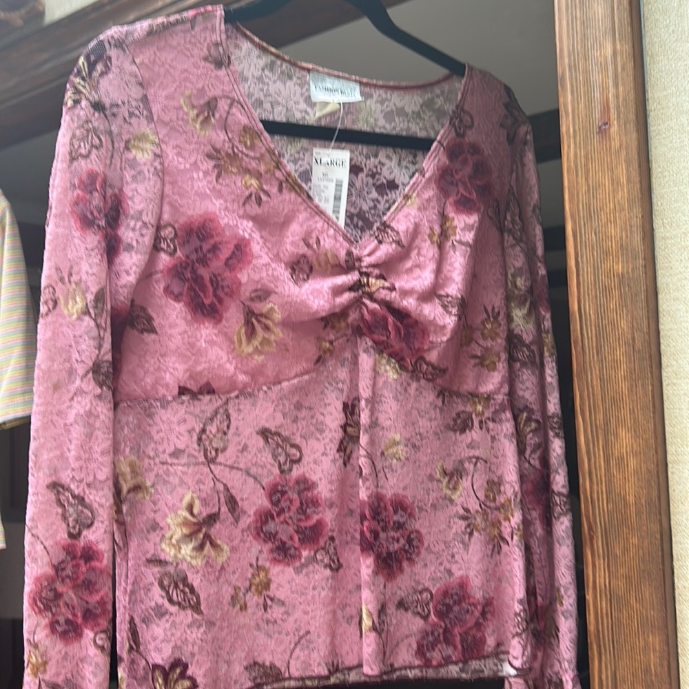 Lovely sheer Rose Top
